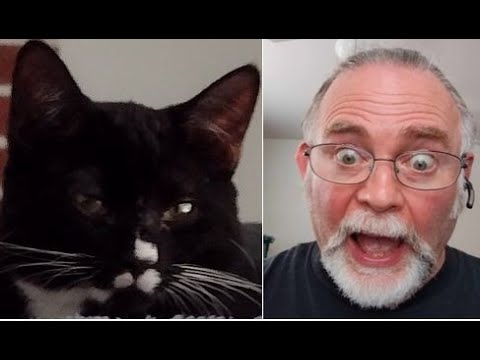 A Wombat Stole My Hot Tub (Sarah Maddack Cover)