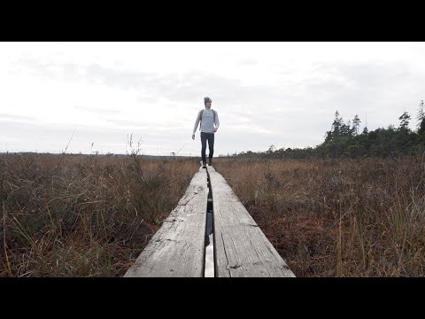 Exploring Store Mosse national park in Sweden