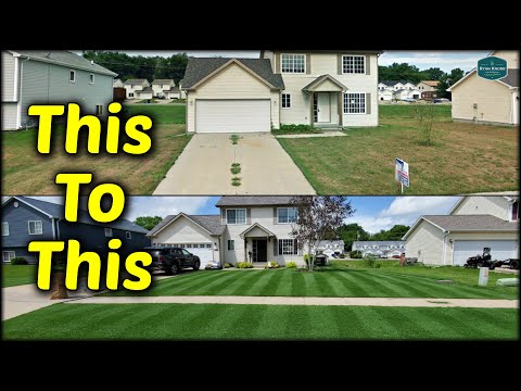How I Transformed My Lawn WITHOUT A Complete Renovation