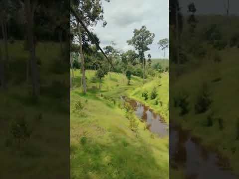 Video Proyek