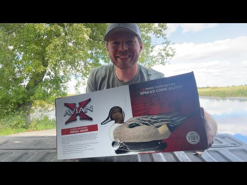 Very Very Nice Artwork