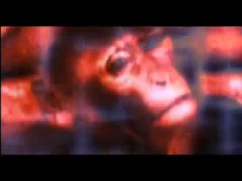 1 giant leap   Masks & Roles, Linton Johnson, Ram Dass.