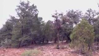 preview picture of video 'Pine Meadow Ranches Top of Unit 4, New Mexico'