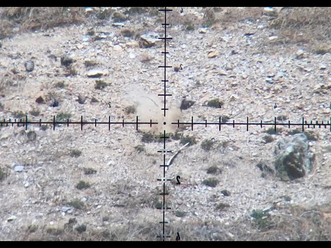 FX IMPACT M3 .25 CAL 153 YD PINECONE  SHOT