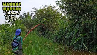 Download lagu MANGARASAK || MANCING IKAN GABUS PAKAI TEGEK UMPAN KODOK ASLI mp3
