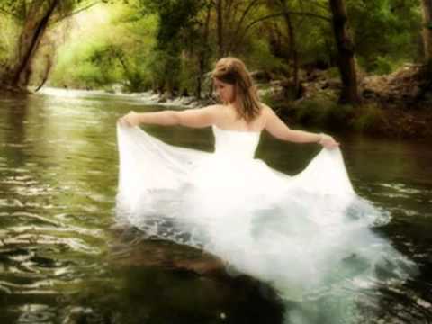 Thumbnail for Fly video