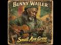 Roots Reggae (1948) [Unreleased Album] Bunny Wailer - Small Axe Grow