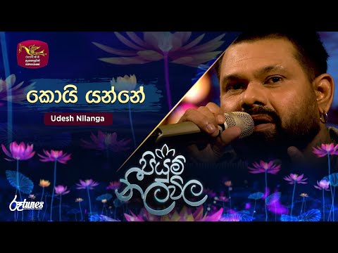Me Koi Yanne | කොයි යන්නේ  | Udesh Nilanga | Piyum Neela Vila | Roo Tunes