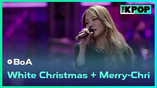 보아(BoA)-White Christmas + Merry-Chri(メリクリ)ㅣ라이브 온 언플러그드(LIVE ON UNPLUGGED) 보아(BoA)편