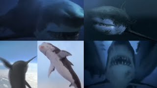 Download lagu Mega Shark Versus Mecha Shark [2014] - Mega Shark / Megalodon Screen Time mp3