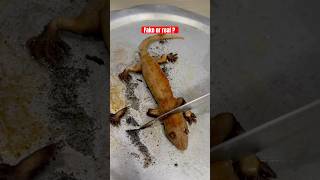 Man eatting lizard 🤣 #shorts #trending #lizard #hunting