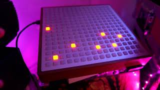 Monome Grid 256 - What To Know & Where To Buy | Equipboard