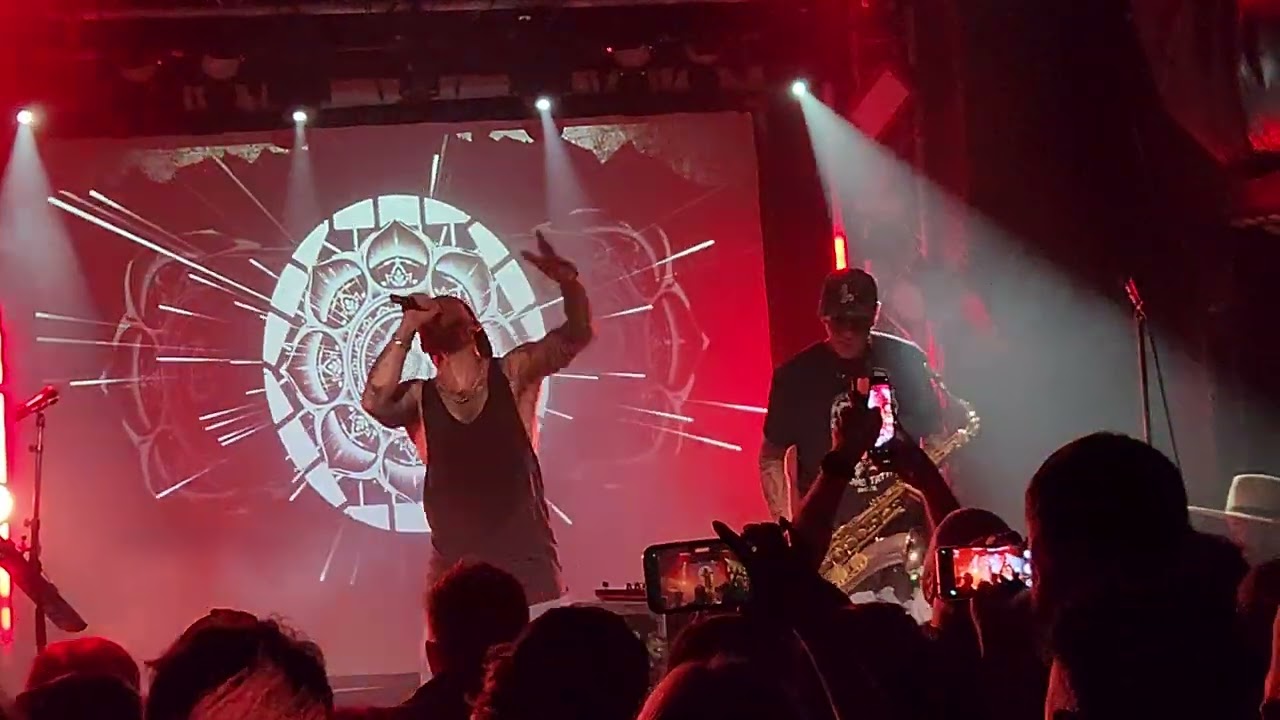 Dub fx, prezence and mr woodnote