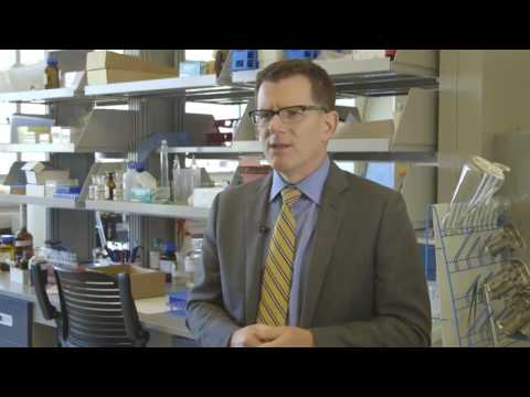 ‘Designer Drugs’ Driving Deaths Up