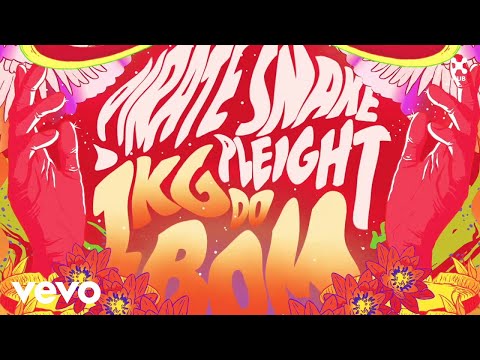 Pirate Snake, Pleight - 1kg do Bom (Áudio Oficial)