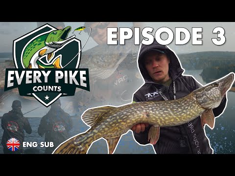 EVERY PIKE COUNTS - Episode 3
