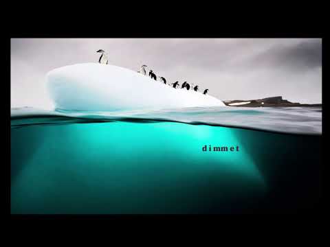 Dizharmonia - Alkahest feat. Eleonora (Binaryh Remix) [Movement Recordings]