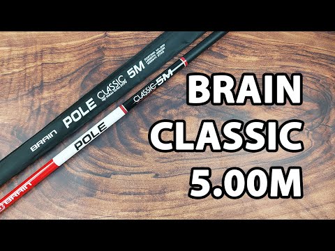 Махове вудлище Brain Classic 5.00m (телескопічне, без кілець) + чохол