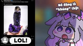 Một cục đá thật... thú vị...【Hololive Vietsub】