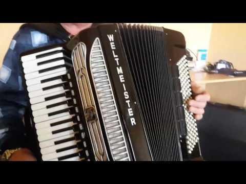 Weltmeister Supita 120 Bass Double Cassotto Accordion Fisarmonica Akkordeon + Case (4)