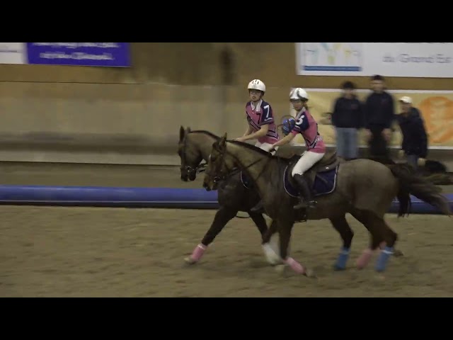 Cheval PS Comp&eacute;tition HORSE BALL 7 ans