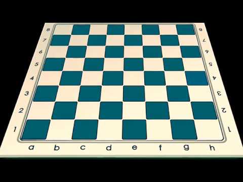 👨‍🌾 C14 9.1. Martin Klimek - Šimon Devera 1/2:1/2