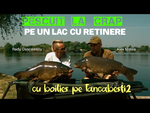 Carp fishing with boilies on a lake with retention