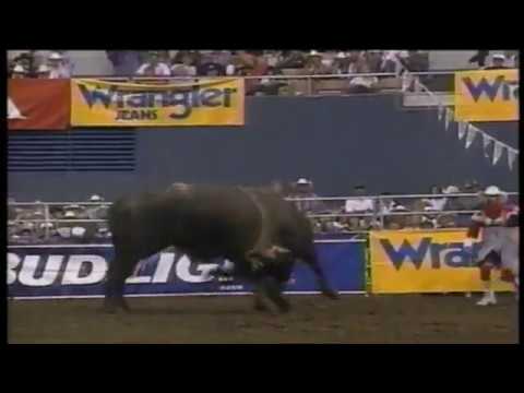 PBR 1996: David Fournier gets Clotheslined (82 pts)