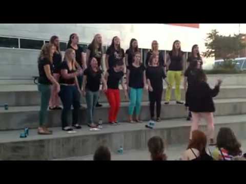 Destiny's Child Mashup by Beauty and the Beats (Ohio State Acappella)