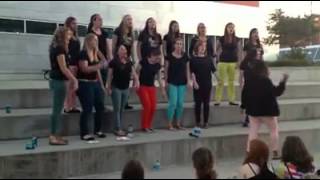 Destiny's Child Mashup by Beauty and the Beats (Ohio State Acappella)