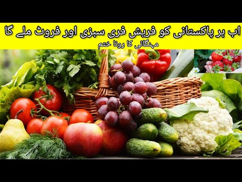 Kitchen garden benefit in winter & summer| grow fresh vegetables & fruits |
