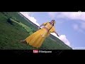 Teri Banjaran Rasta HD Video Banjaran Top Video Song