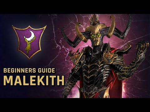 BEGINNERS GUIDE to MALEKITH - 2022 Tips and Tricks