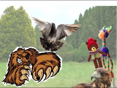 O que contam os bordos?  - Ep. 31 Nas garras do inimigo