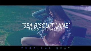 'Sea Biscuit Lane' - Tropical EDM Pop Beat Instrumental 2019
