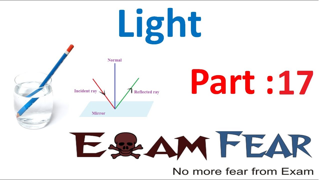 Physics Light Part 17 (Braille System) Class 8  VIII