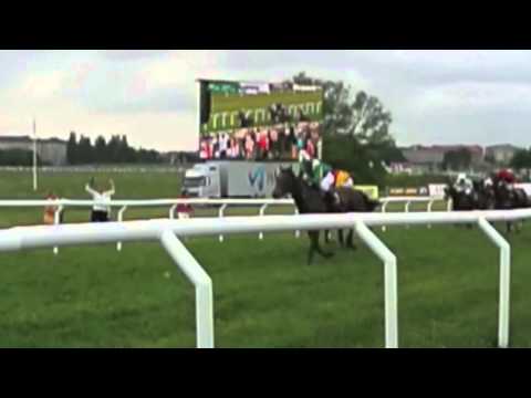 Nationalgaloppen Gärdet 2014