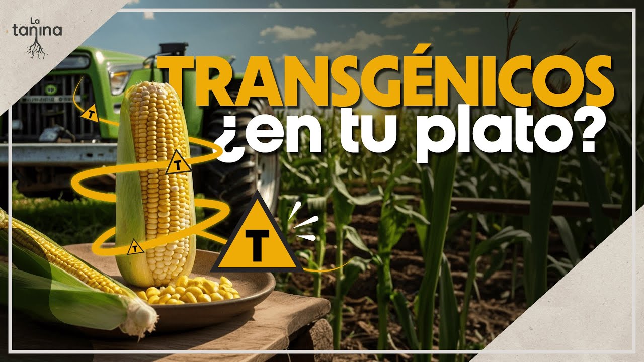 You DON'T KNOW what you eat! 🍔 The truth that the industry does NOT want you to know