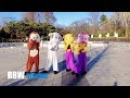 Mamamoo - Starry Night (Animal Version)
