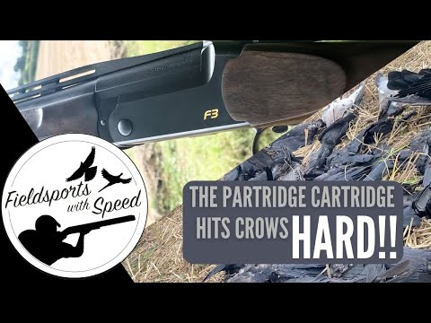 Decoying Crows | Crow Shooting | Testing The Partridge Cartridge from Hull Cartridges