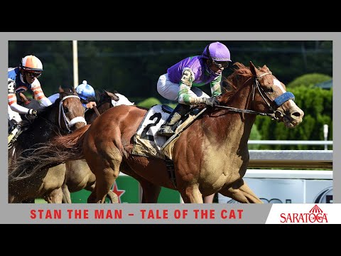 Stan The Man - 2020 - The Tale of the Cat