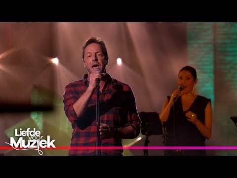 Peter Vanlaet (van Mama's Jasje) - 'Hoge Bomen' | Liefde voor Muziek