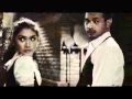 Shaggydog - Honey