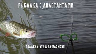 Кукуруза для голавля на поплавочную удочку