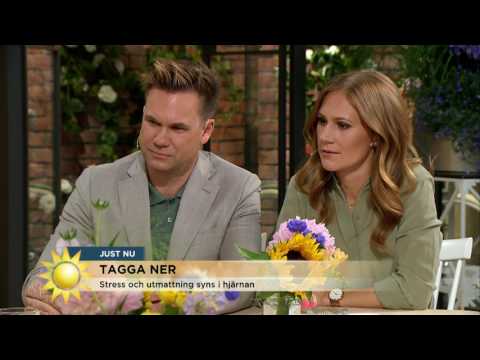 Hjärnforskaren ger råd om stress inför semestern - Nyhetsmorgon (TV4)