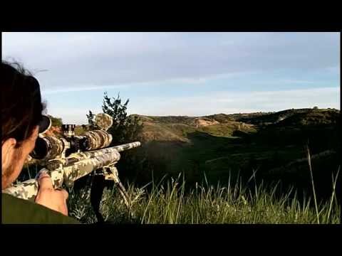 .243 Win VS 7mm Rem Mag @ 649 yds - Rex Reviews