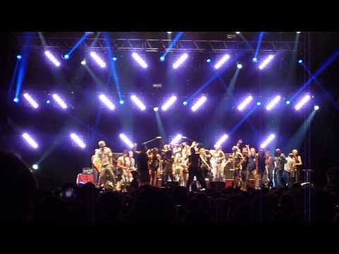 Iggy Pop and the Stooges, Festival Pause Guitare, Albi 2013