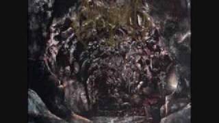 unleashed the immortals