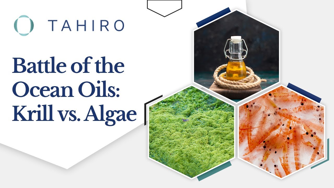 Decision Time: Krill Oil or Algae Oil? What Is The Ultimate Omega-3 Source for Your Health