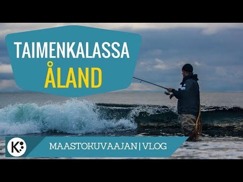 Taimenta tyrskyrannalta - 3/3